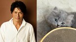 【 ねこ 】高橋克典さん　愛猫「ミルリィ」連投も「ガン無視」「触らせてくれない」　「接しないとダメなのかな」と問いかける|TBS NEWS DIG