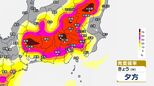【気象情報】関東甲信　きょう14日（木）昼前から夜にかけて　大気の状態が不安定に【発雷確率と雨のシミュレーション画像掲載】急な強い雨や雷雨に注意|TBS NEWS DIG