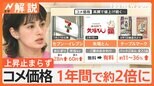 備蓄米放出でコメ価格は? 今月末には店頭へ 表記の決まりなし、平均落札価格など今週中に公表予定【Nスタ解説】|TBS NEWS DIG