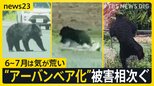 「6~7月は気が荒くなっている」進む“アーバンベア化” 石川・奈良・島根で人身被害 市街地に慣れたクマは行動に変化?【news23】|TBS NEWS DIG