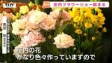 酒田でフラワーショー！庄内産のダリアやトルコギキョウなど、色鮮やかな花が集まる！（山形）|TBS NEWS DIG
