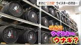 創業2年で“世界一”のウイスキーに続き ウナギ養殖で“はんこ業界の最大手”が目指す“三刀流” |TBS NEWS DIG