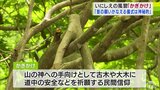 いにしえの風習「かぎかけ」　道中の安全祈願の民間信仰を守る　|　青森のニュース│ATV NEWS│青森テレビ
