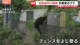宇都宮のクマ捕獲 オスの成獣で体長1m超・体重100キロ近く 住民「無事捕獲されて良かった」|TBS NEWS DIG