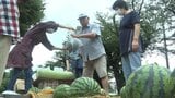 夏の風物詩 お盆に合わせて公園で朝市を開催 岩手・奥州市|TBS NEWS DIG
