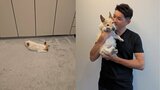 【いぬ】照英さん “ポツンと昼寝” の愛犬テン19歳に “いつまでも、家族みんなが居るから大丈夫” 溢れる愛情 フォロワー共感「後ろ姿にも幸せ」|TBS NEWS DIG