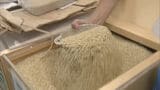 コメ価格の高止まりが続く中で新米販売 北九州市の直売所で「新米まつり」 | 福岡のニュース|RKB NEWS|RKB毎日放送
