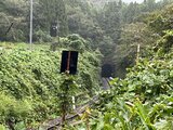列車が熊とトンネル内で衝突 その後も同じトンネルで熊目撃 JR山口線 | 山口のニュース・天気・防災|tys NEWS|tysテレビ山口