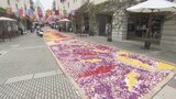 チューリップの花びらのじゅうたん リゾートホテルの回廊を鮮やかに彩る 山梨・リゾナーレ八ヶ岳|TBS NEWS DIG