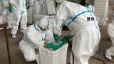 津山市の養鶏場で高病原性鳥インフルエンザ　岡山県が約43万羽を殺処分へ　市が対策会議【岡山】|TBS NEWS DIG