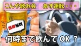 「とりあえず生で‼」あっ、でも、翌朝は車の運転…アルコールが抜けるまで「何時間空ければよい?」“目安”を医師が解説|TBS NEWS DIG