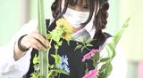 「自分が成長する姿を表現」 農業学ぶ高校生がフラワーアレンジメントの県大会に挑む | SBC NEWS | 長野のニュース | SBC信越放送