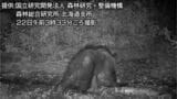 【クマ出没】体長1.2~1.3mほどのクマが出没 札幌市豊平区の住宅地近くの森 3日以降出没を繰り返しているクマか|TBS NEWS DIG