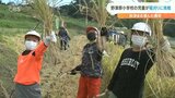 「家族みんなでおむすびにして食べたい」児童が稲刈り体験 大分 | 大分のニュース|OBS NEWS|大分放送