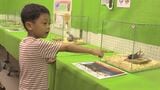 「こんなにでっかいのがいるんだよ」　夏休み突入　子どもに人気の昆虫集めた企画展にぎわう　盛岡市　|　IBC NEWS | IBC岩手放送