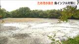 ため池の水を全部抜く! 鳥インフルエンザ対策で2023年から新潟県が行う大作戦 一体どんな効果が?|TBS NEWS DIG