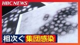 北海道で集団感染が相次ぐ『ノロウイルス』感染を防ぐ対策は?『次亜塩素酸ナトリウム』を使用して消毒する予防ポイント 子どもや高齢者が重症化することも… | 北海道のニュース|HBC北海道放送
