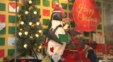 盛岡のデパートにクリスマスディスプレー 「松屋銀座」が地方百貨店の盛り上げに協力|TBS NEWS DIG