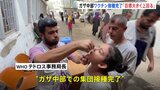 ガザ中部のポリオワクチン接種「目標を大きく上回る」 WHOテドロス事務局長が明かす　南部、北部でも接種へ|TBS NEWS DIG