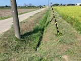 「草刈りに行ってくる」65歳の男性が死亡 田んぼでうつ伏せの状態で見つかる 富山・射水市 | 富山のニュース|天気・防災|チューリップテレビ