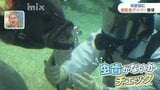 水族館で“歯医者ダイバー”魚を健診…でも魚に虫歯はない？|TBS NEWS DIG