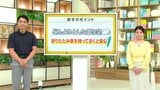 高知の天気 5日 未明~明け方にかけて雨脚強まる 山岸拓気象予報士が解説|TBS NEWS DIG