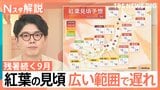 残暑続く9月…今年の紅葉は「広範囲で遅れ」色づく間もなく葉が落ちる可能性も?【Nスタ解説】|TBS NEWS DIG