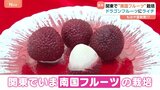 “お盆バテ”猛烈残暑が復活!この暑さで関東でも南国フルーツが育つ!?ドラゴンフルーツ&ライチ生育も暑すぎて問題が…!|TBS NEWS DIG