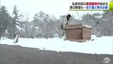 「もっとしばれでほしい」まだまだ雪も寒さも足りない！　雪不足に悩むイベント会場に“恵みの雪”が…！　|　青森のニュース│ATV NEWS│青森テレビ