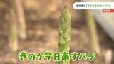 「きのうもきょうもあすも飽きずにおいしく食べられるように」　地元産の野菜”きのう今日あすパラ”をＰＲ　山口|TBS NEWS DIG