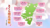 宮崎県内各地の桜の名所 開花情報(3月28日現在) | MRTニュース | MRT宮崎放送