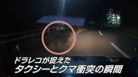 【ドラレコ映像あり】“住宅立ち並ぶ市街地で…”タクシーとクマ衝突の瞬間 バンパー・ライトに衝突痕残るもクマ逃げ去る 仙台|TBS NEWS DIG