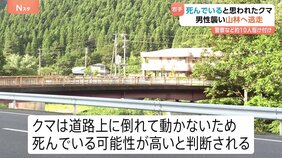 「死んでいる可能性が高い」と判断されたクマに噛まれ70代男性けが 警察や市職員も集まり道路に倒れたクマの排除中|TBS NEWS DIG