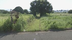 【速報】相模原市男子高校生死亡事件で10代の少年4人を殺人容疑で再逮捕　男子高校生を殴るなどして殺害か 4人は男子中学生への傷害疑いですでに逮捕 神奈川県警|TBS NEWS DIG