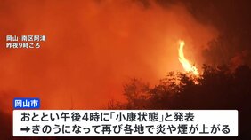 岡山の山林火災&nbsp;再び延焼が拡大　1000世帯あまりに避難指示|TBS NEWS DIG
