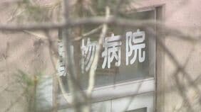 焼却炉から人体の一部のようなもの見つかる　旭山動物園の男性職員の逮捕状請求　30代妻の死体損壊容疑が固まり次第逮捕へ　北海道旭川市|TBS NEWS DIG