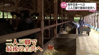 約40年の集大成!　和牛日本一を目指して　えびの市の夫婦が二人三脚で挑む最後の全共　|　MRTニュース ｜ ＭＲＴ宮崎放送