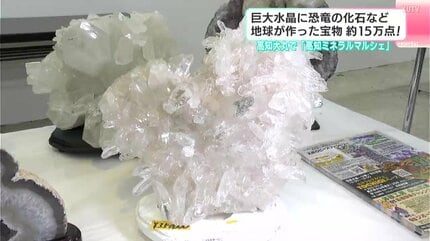 巨大水晶に恐竜の化石など地球が作った宝物が約15万点！ 高知大丸で