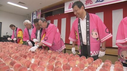 12万分の180…厳選された「献上桃」桑折町のあかつき、31年連続皇室へ