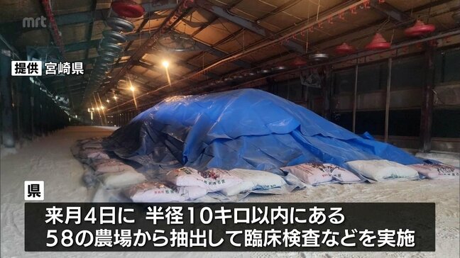 日向市の鳥インフルエンザ　防疫措置終わる|TBS NEWS DIG