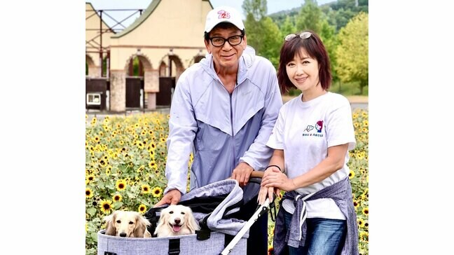 【 伍代夏子 】 「今日は家族でドライブ」念願のペットと旅するためのキャンピングカーで東京ドイツ村へ 愛犬と過ごす幸せな時間|TBS NEWS DIG