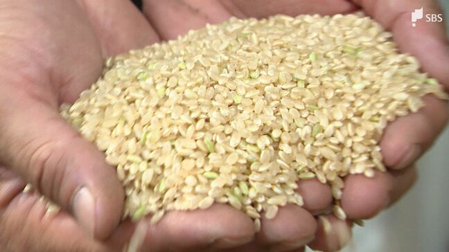 新米を襲う高温障害に生産者「重苦しい…ストレス溜まる」今年の収穫減も価格は1.5倍以上?|TBS NEWS DIG