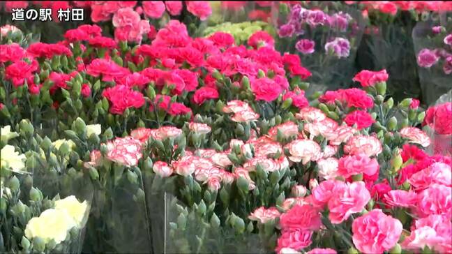 「安くてきれいなお花がいっぱい」母の日前に道の駅村田でカーネーションの鉢植え即売会 宮城・村田町|TBS NEWS DIG