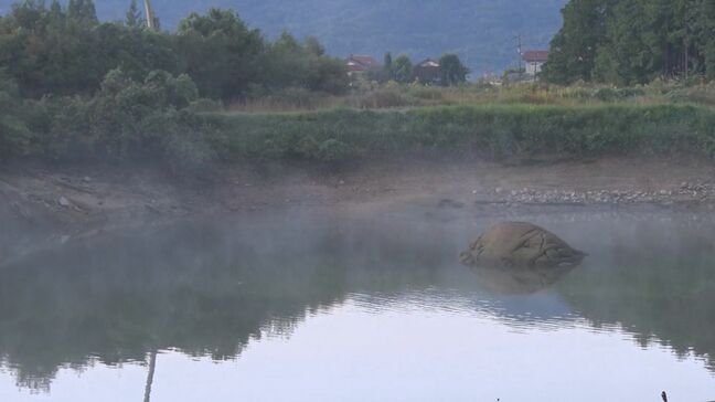 今季一番の冷え込みで「蒸気霧」発生　鳥取県日南町茶屋では氷点下1.4度を記録|TBS NEWS DIG