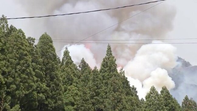 【大槌町山林火災】発生から4日目も延焼続く 緊急消防援助隊の活動本格化 焼失面積は730ヘクタールに 岩手|TBS NEWS DIG