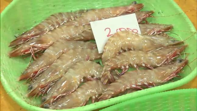 新鮮な魚介類がいっぱい 年末恒例「歳末真魚市」あす(31日)まで「ブリを刺身・しゃぶしゃぶにしたり」【岡山・備前市】|TBS NEWS DIG