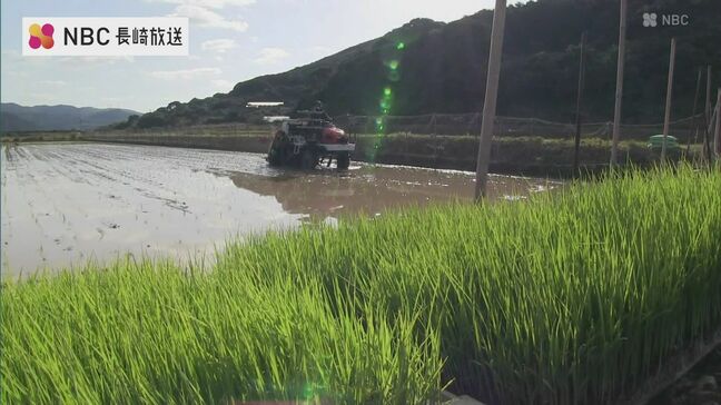 早期米の田植え始まる 長崎県五島市 |TBS NEWS DIG