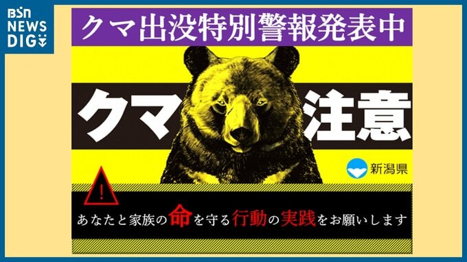 市道でクマを目撃　新潟・長岡市　|　新潟のニュース・天気｜BSN NEWS｜BSN新潟放送