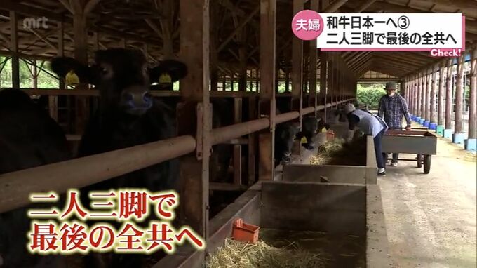 約40年の集大成!　和牛日本一を目指して　えびの市の夫婦が二人三脚で挑む最後の全共　|　MRTニュース ｜ ＭＲＴ宮崎放送