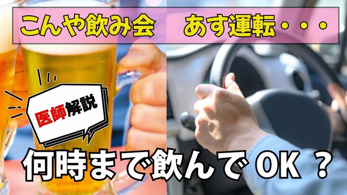 「とりあえず生で‼」あっ、でも、翌朝は車の運転…アルコールが抜けるまで「何時間空ければよい？」“目安”を医師が解説|TBS NEWS DIG